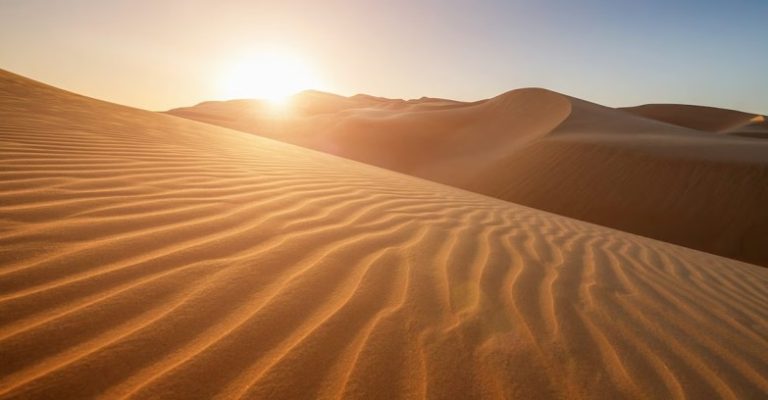 desert (1)