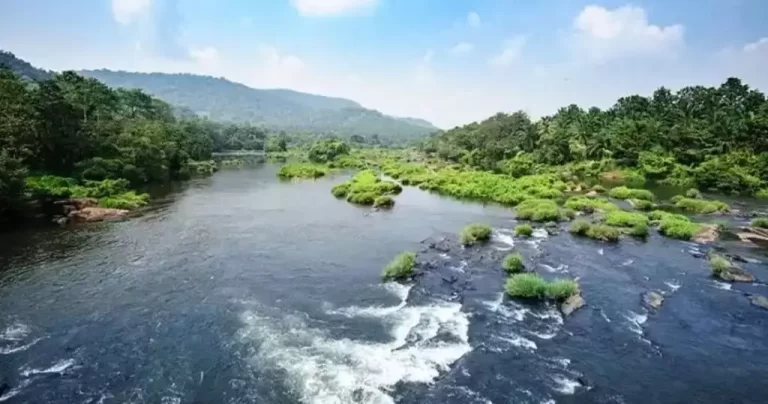 watercourses-1024x538.jpg