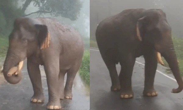 ഒന്നരമണിക്കൂറിലേറെ