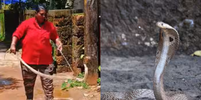 ഓഫീസിലേക്ക്